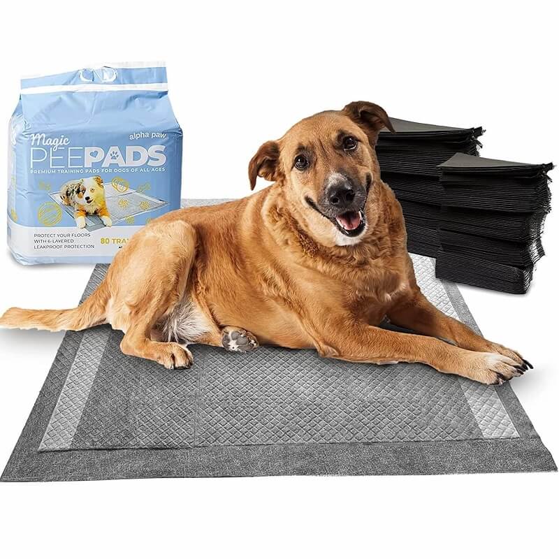 3-dog-pee-pads-compressed-800x800